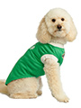 Northern Ireland Football Team Shirt