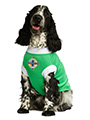 Northern Ireland Football Team Shirt