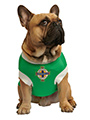 Northern Ireland Football Team Shirt