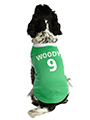 Northern Ireland Football Team Shirt (Personalised)