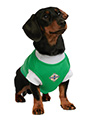 Northern Ireland Football Team Shirt (Personalised)