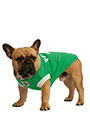 Northern Ireland Football Team Shirt (Personalised)