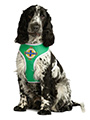 Northern Ireland Football Team Harness