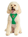 Northern Ireland Football Team Harness