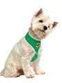 Northern Ireland Football Team Harness