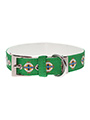 Northern Ireland Football Team Collar & Lead Set