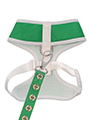 Northern Ireland Football Team Harness & Lead Set