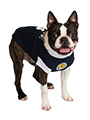 Scotland Football Team Shirt