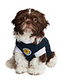 Scotland Football Team Shirt (Personalised)