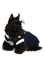 Scotland Football Team Shirt (Personalised)