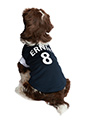 Scotland Football Team Shirt (Personalised)