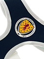 Scotland Football Team Harness