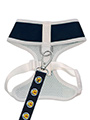 Scotland Football Team Harness & Lead Set