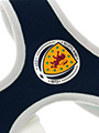 Scotland Football Team Harness & Lead Set