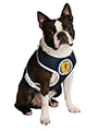 Scotland Football Team Harness & Lead Set