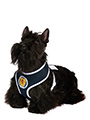 Scotland Football Team Harness & Lead Set