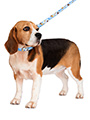 Gromit's Collar