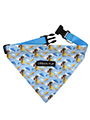 Gromit's Bandana