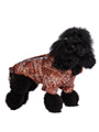 Cheetah Print Rainstorm Rain Coat