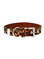 Cheetah Print Fabric Collar