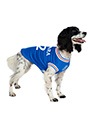 Rangers Football Team Shirt (Personalised)