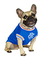 Rangers Football Team Shirt (Personalised)