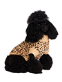 Leopard Print Knitted Sweater