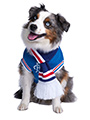 Rangers Football Team Scarf