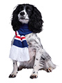 Rangers Football Team Scarf