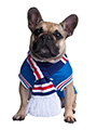 Rangers Football Team Scarf