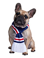 Rangers Football Team Scarf