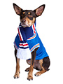 Rangers Football Team Scarf