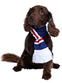 Rangers Football Team Scarf