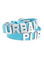 Blue Leather Personalised Dog Collar (Chrome Letters)