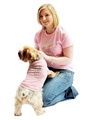 American Spirit GlamourGlitz Dog T-Shirt