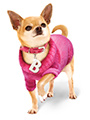Bruiser's Pink Knitted Sweater