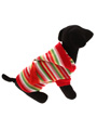 Rainbow Sweater with Hood