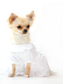 Bride Wedding Dress with Veil
