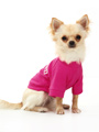 Legally Blonde ''HARVARD'' Dog T-Shirt