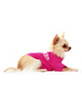 Legally Blonde ''HARVARD'' Dog T-Shirt