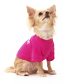Legally Blonde ''OMIGOD!'' Dog T-Shirt