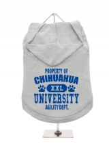 ''Property Of Chihuahua University'' Dog Hoodie / T-Shirt