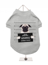 ''Police Mugshot - Pug'' Dog T-Shirt