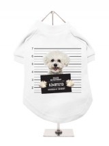 ''Police Mugshot - Bichon Friese'' Dog T-Shirt