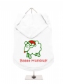 Dog Hoodie / T-Shirt