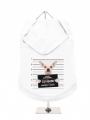 ''Police Mugshot - Chihuahua'' Dog Hoodie