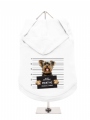 ''Police Mugshot - Yorkshire Terrier'' Dog Hoodie