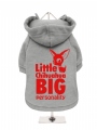 ''Little Chihuahua, Big Personality'' Dog Sweatshirt