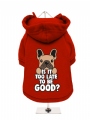 Fleece-Lined Dog Hoodie / Sweatshirt