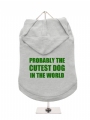''Design Your Own'' Dog Hoodie